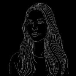 Disegno in stile line art di una donna che rappresenta Sydney Watson, con capelli lunghi. L'immagine ritrae le sue fonti di reddito.