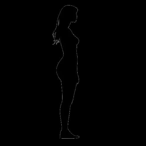 Line art drawing of a young woman's silhouette, representing Lily Chee, with her height and weight shown
